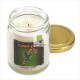 Candy Cane Scent Candle
