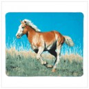 Mustang Fleece Blanket