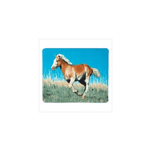 /1748-1814-thickbox/mustang-fleece-blanket.jpg