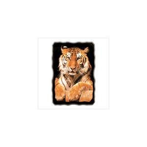 /37-70-thickbox/golden-tiger-wall-clock.jpg
